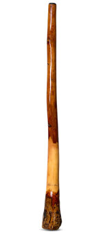 Peter Sherwood Didgeridoo (NV110)